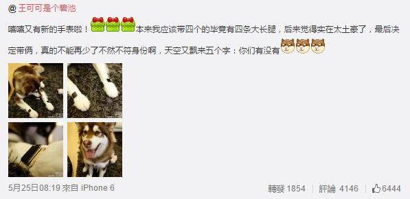 城里人真會玩,用鱷魚、穿山甲來評測Apple Watch