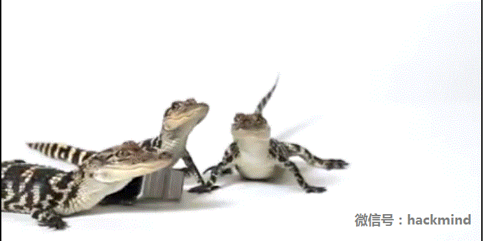 城里人真會玩,用鱷魚、穿山甲來評測Apple Watch