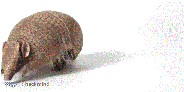 城里人真會玩,用鱷魚、穿山甲來評測Apple Watch